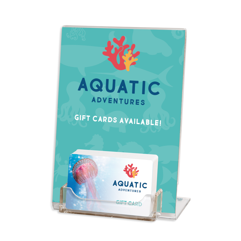 5x7 Acrylic Gift Card Display Stand